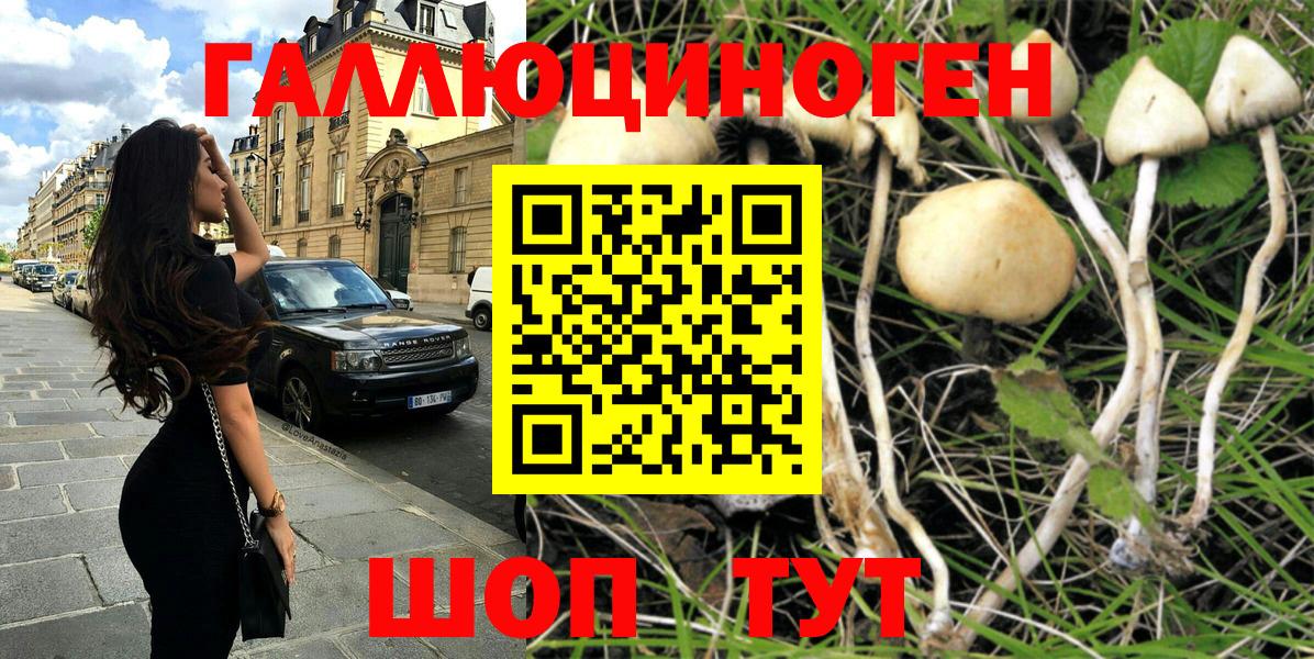 Псилоцибиновые грибы Psilocybine cubensis  Вход с VPN  Кингисепп 
